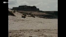 Imagem de Sinais de Vida