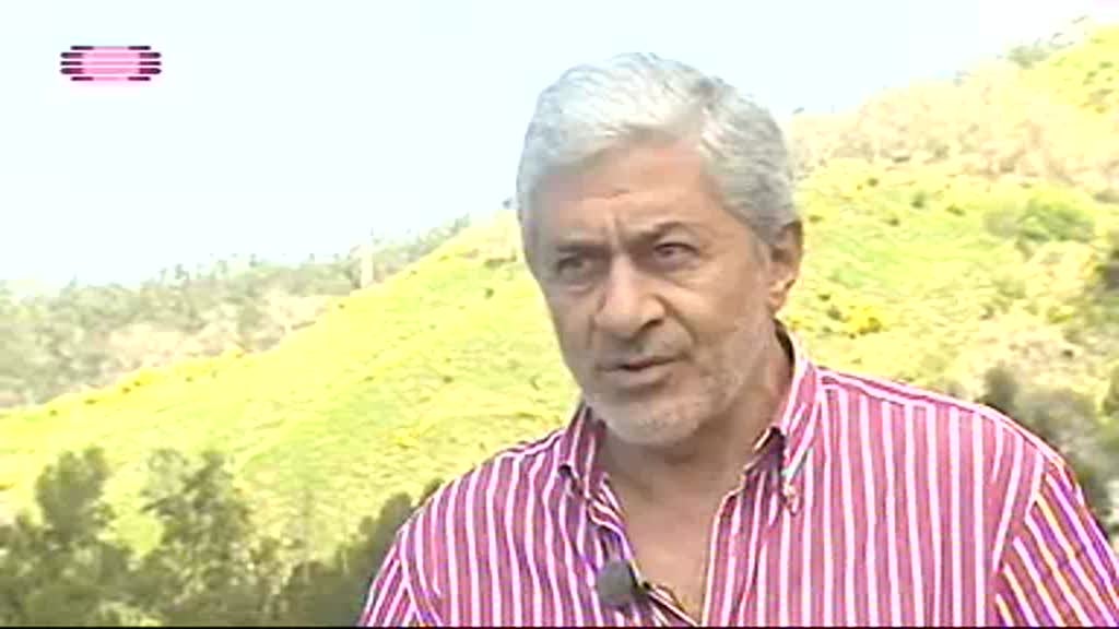 Imagem do Programa / Episiódio - Marca Madeira