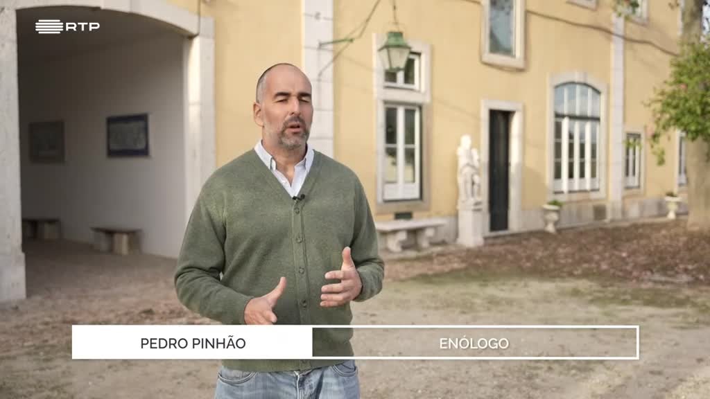 Imagem de A Essência