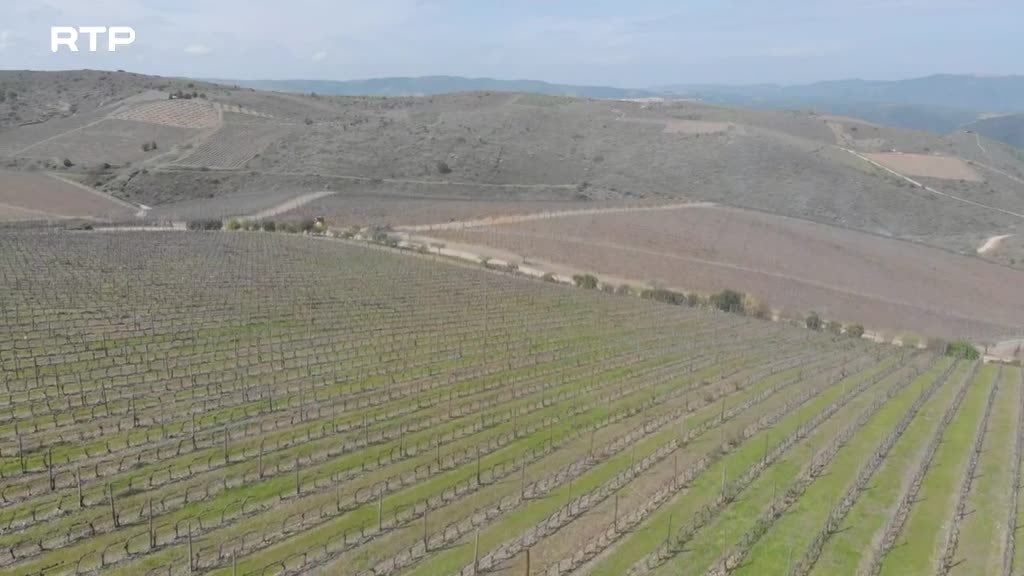 Imagem de A Essência