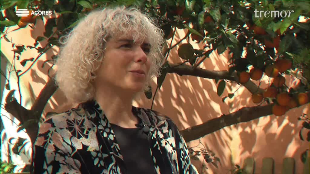 Imagem de Diário do Tremor | 2026 - Diário #1