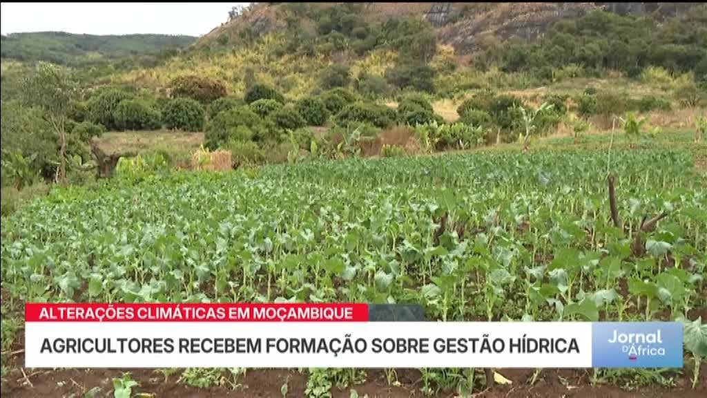 Imagem de Jornal d´ África