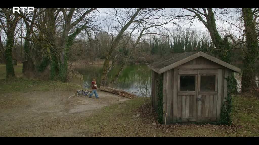 Imagem de A Batalha da Alice