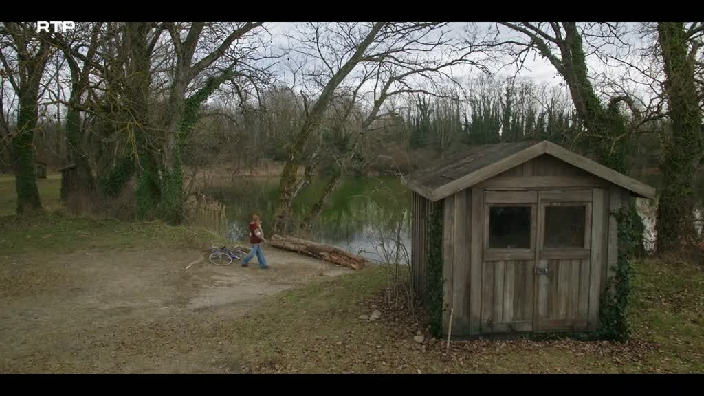 Imagem de A Batalha da Alice
