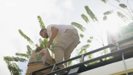 Imagem de Cidades de Ouro: O Grande Mal-Entendido