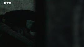 Imagem de La Pola