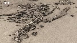 Imagem de Como Desaparecer por Completo