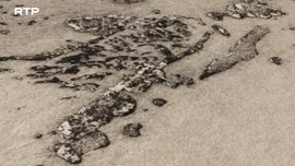 Imagem de Como Desaparecer por Completo