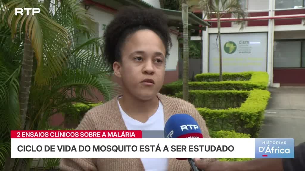 Imagem de Histórias d´Africa