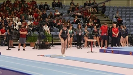 Imagem de Campeonatos da Europa | Seniores