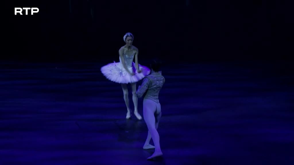 Imagem de O Lago dos Cisnes de Derek Deane (Em Pal