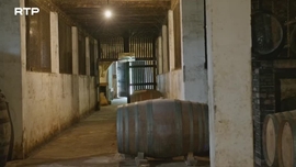 Imagem de Arquiteturas da Vinha - Adegas