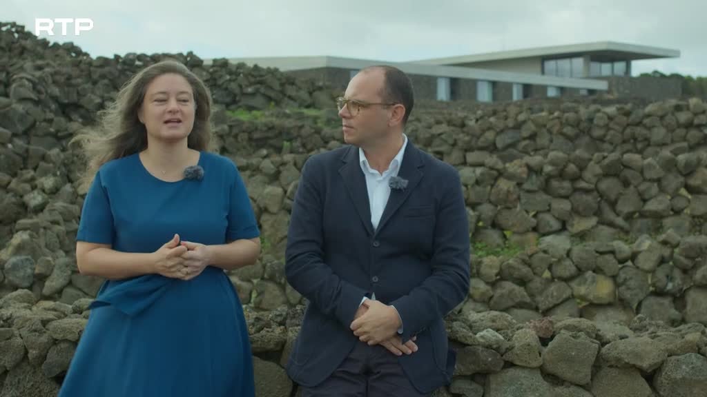 Imagem de Arquiteturas da Vinha - Adegas - Azores Wine Company