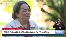Imagem de O Que Me Vai no Interior