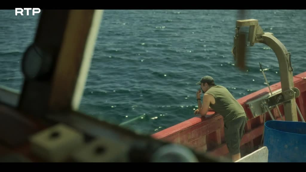 Imagem de A Lei do Mar