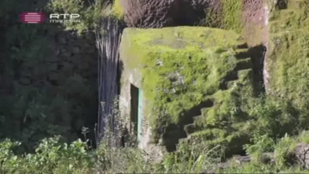 Imagem do Programa / Episiódio - Photo Madeira