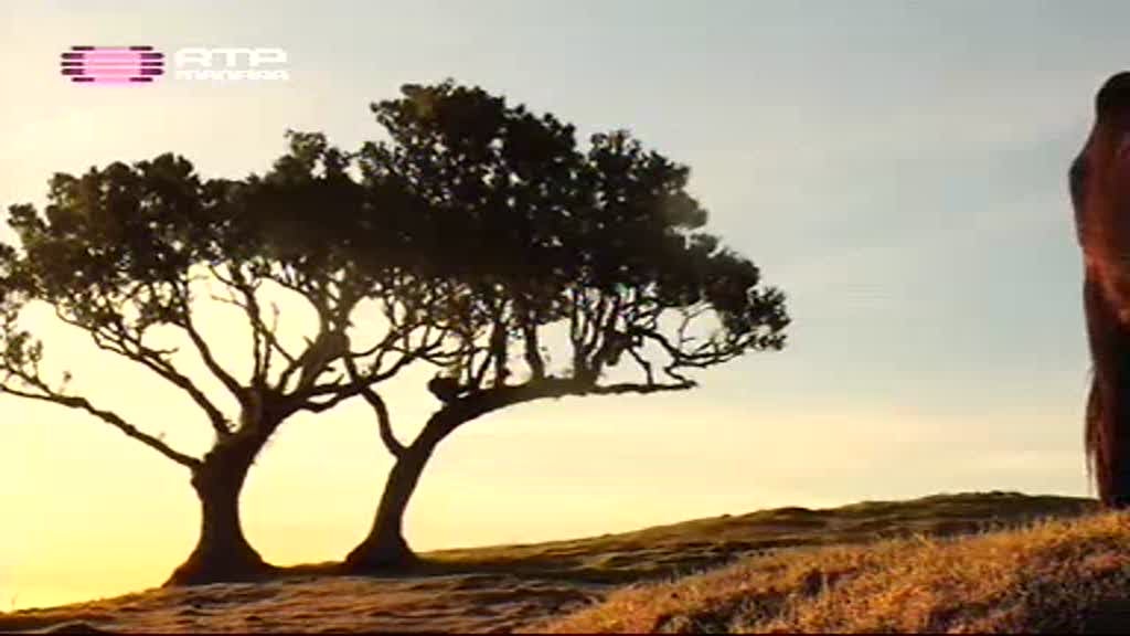 Imagem do Programa / Episiódio - Photo Madeira