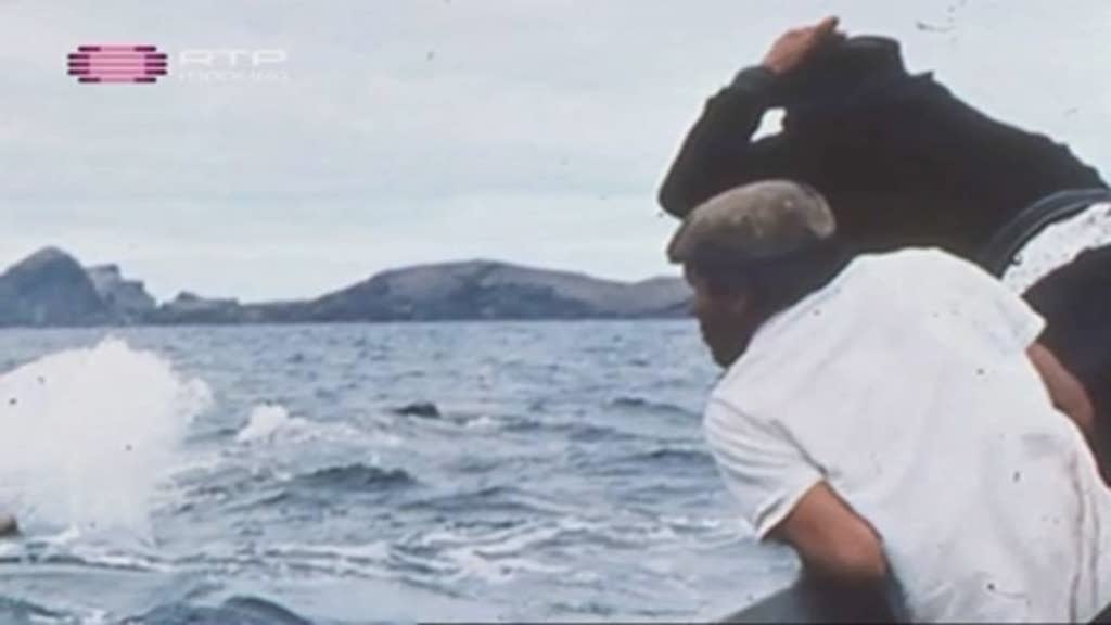 Imagem do Programa / Episiódio - Photo Madeira