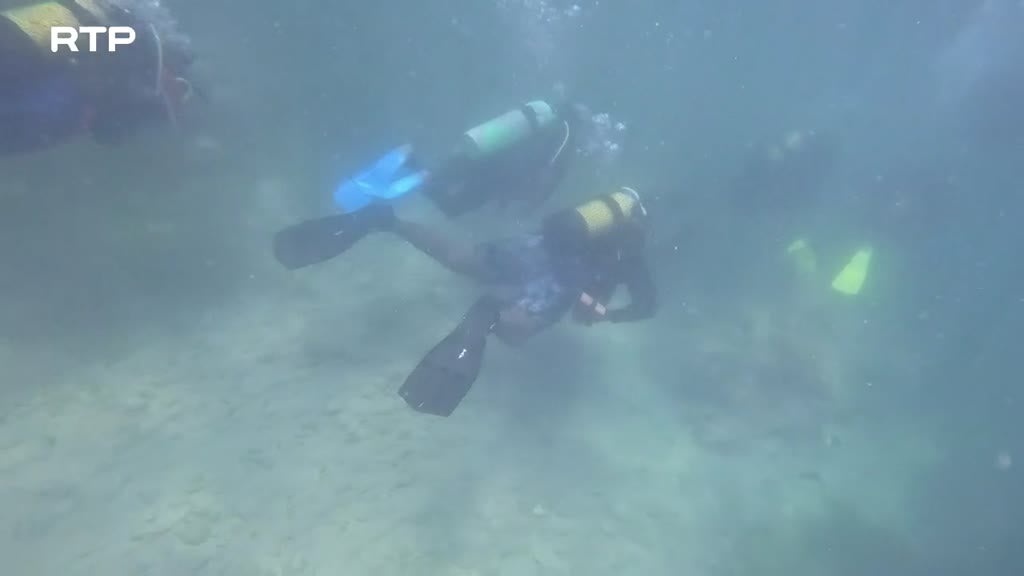 Imagem de Submersos no Índico