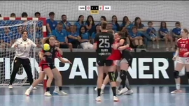 Imagem de Andebol Feminino: Final da Ta�a de Portugal (Almeida Garret x SL Benfica)