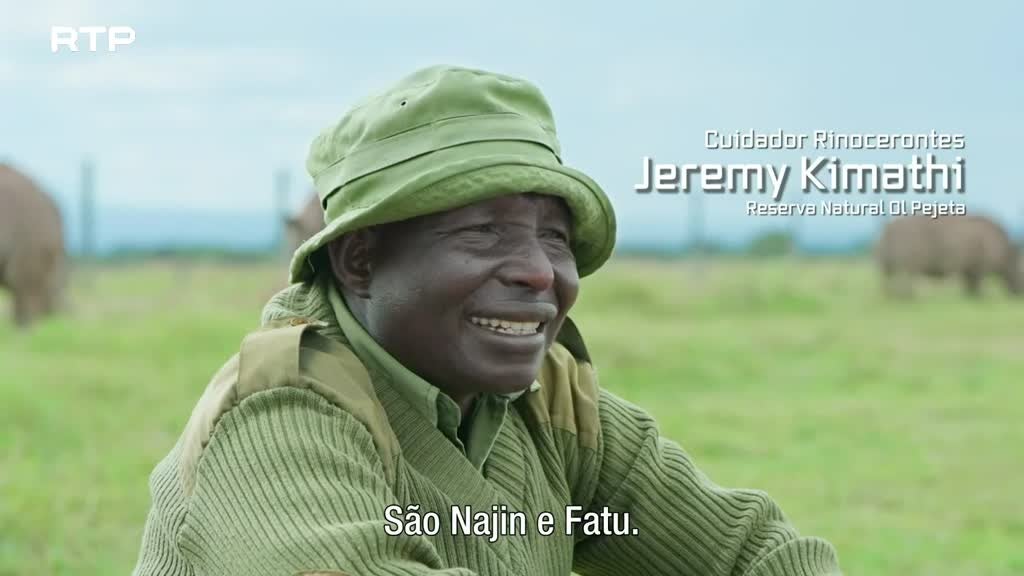 Imagem de Em Busca da Ressurreição