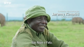 Imagem de Em Busca da Ressurrei��o