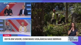 Imagem de Tema da Semana