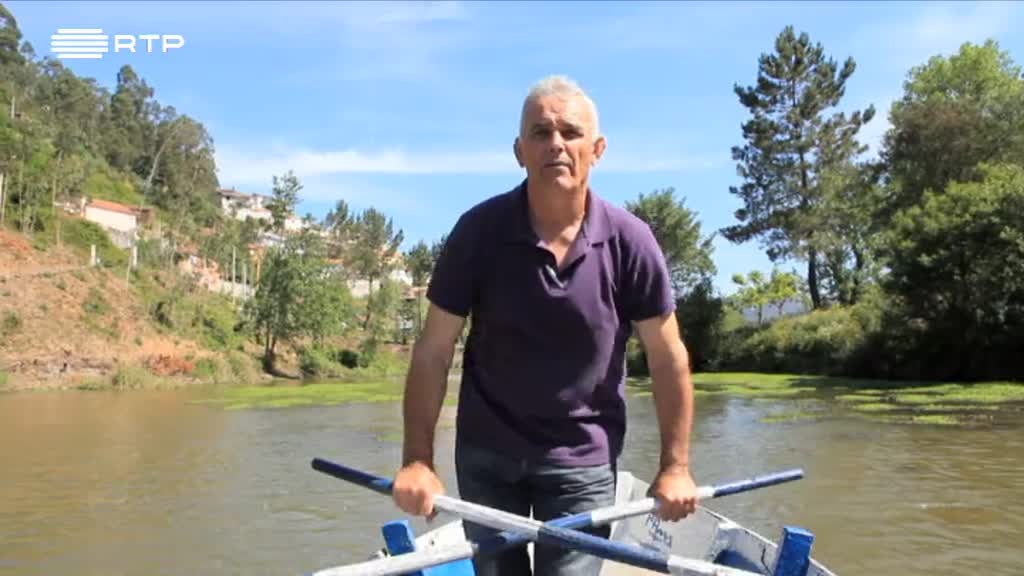 Imagem de O Povo Que Ainda Canta - Há Festa na Aldeia