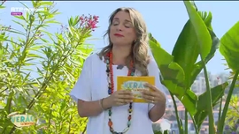 Imagem de Ver�o C� Dentro 2026