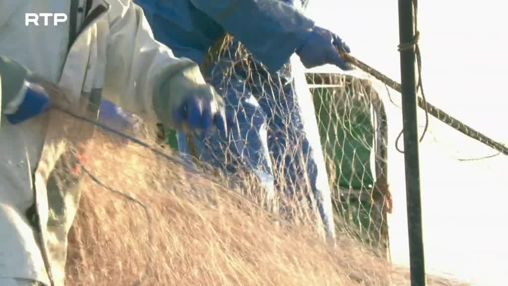 Imagem de Hokkaido - No Limiar da Extinção