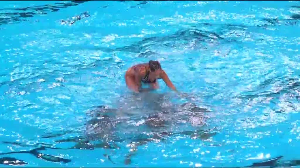 Imagem de Campeonatos da Europa de Desportos Aquá - Natação Artística - Esquema Acrobático por Equipas