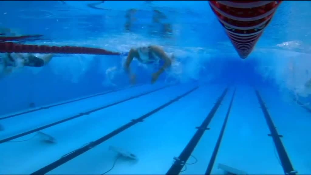 Imagem de Campeonatos da Europa de Desportos Aquá - Natação Pura: Meias-Finais e Finais