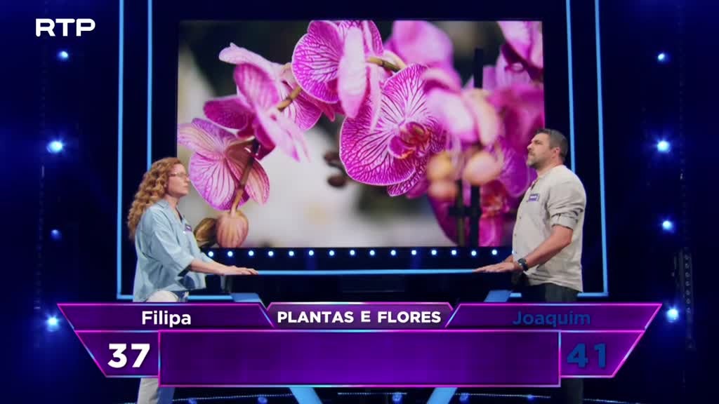 Imagem de The Floor