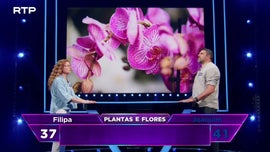 Imagem de The Floor