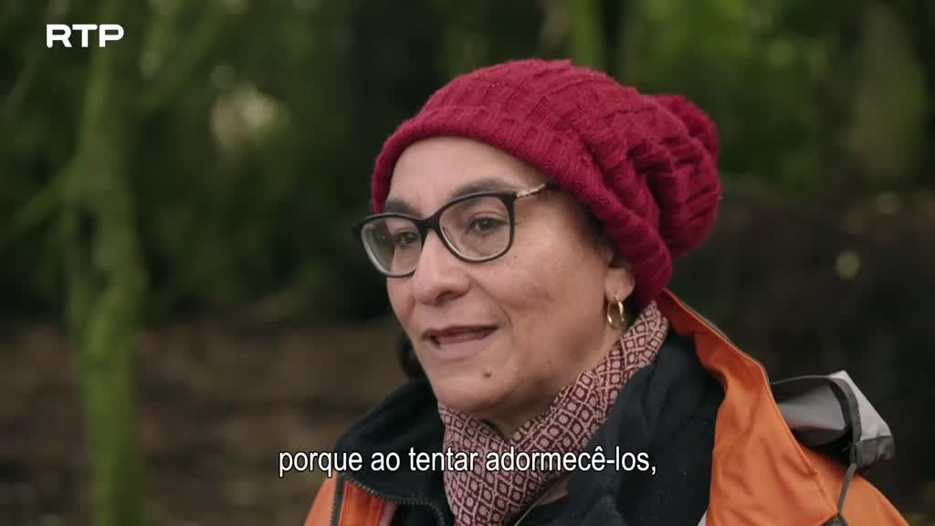 Imagem de Os Estreitos do Mundo - Magalhães - Um Oásis numa Terra Extrema