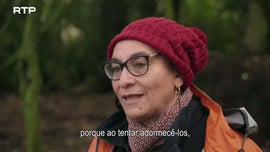Imagem de Magalh�es - Um O�sis numa Terra Extrema