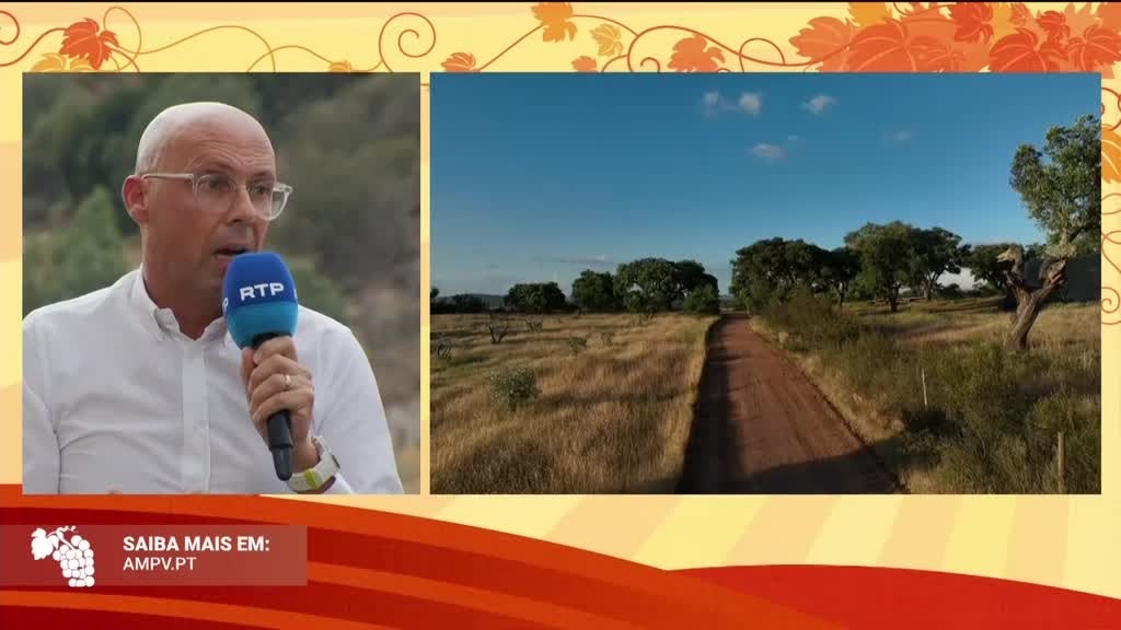 Imagem de Festa das Vindimas