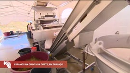 Imagem de Festa das Vindimas