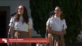 Imagem de Festa das Vindimas