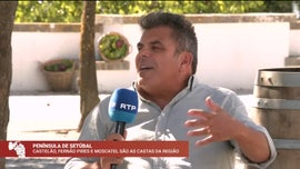Imagem de Festa das Vindimas