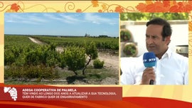 Imagem de Festa das Vindimas