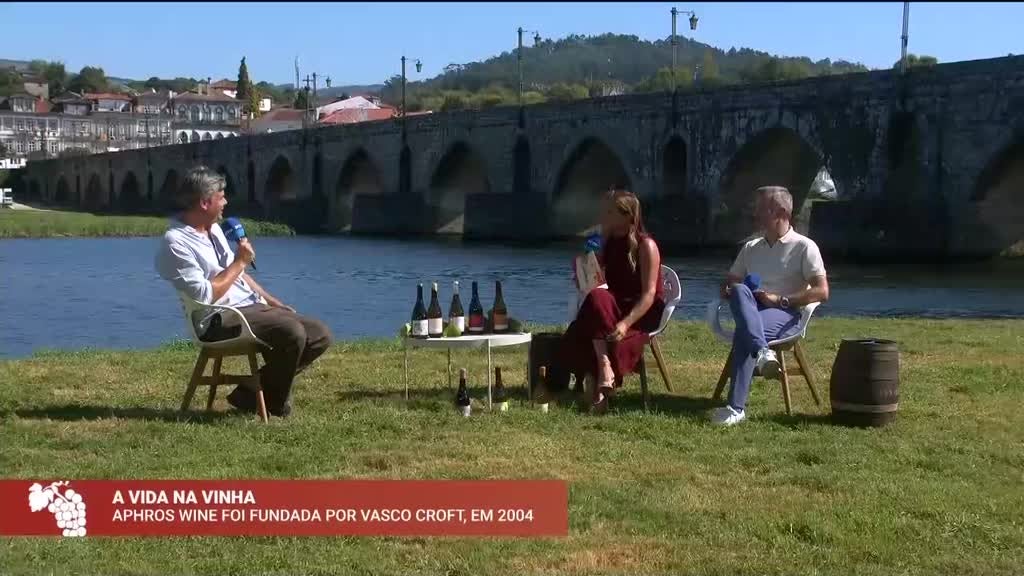 Imagem de Festa das Vindimas