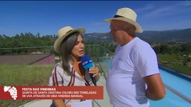 Imagem de Festa das Vindimas