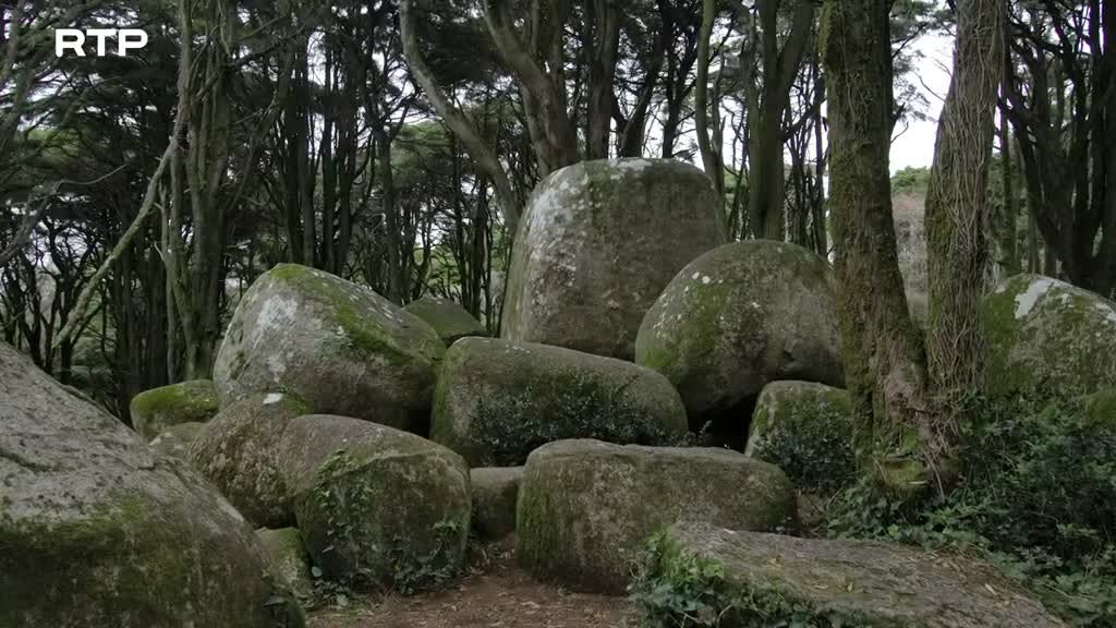 Imagem de Os Primeiros Alentejanos