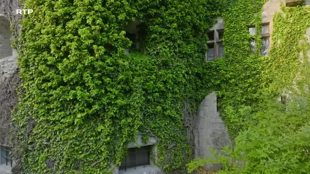 Imagem de Castelos do Ar - Eslováquia