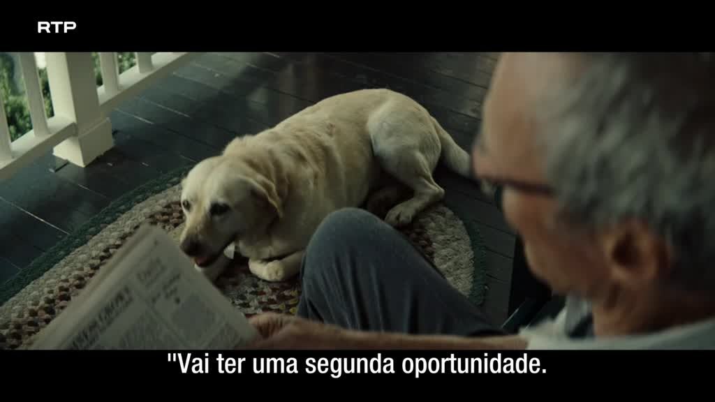 Imagem de Gran Torino
