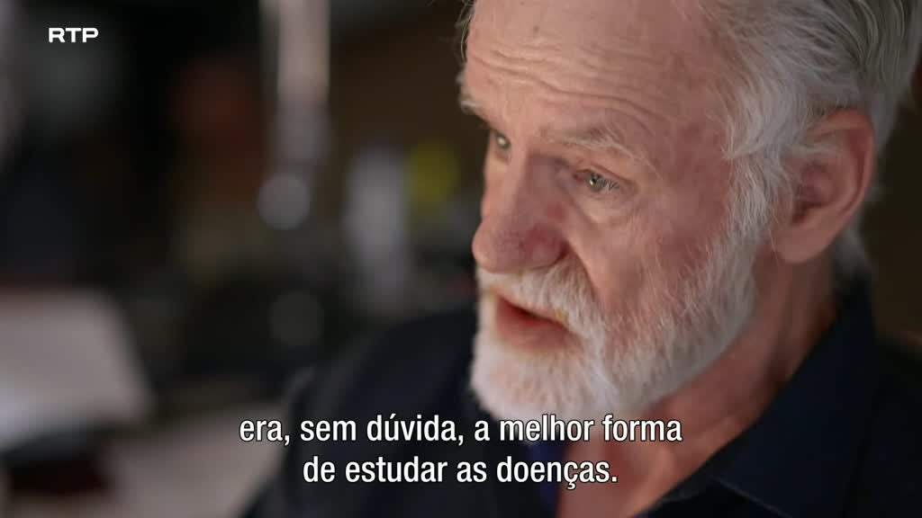 Imagem de O Negócio do ADN - O Novo Eldorado