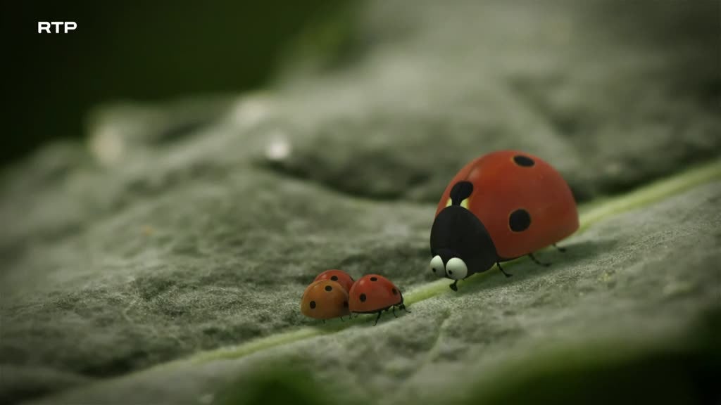 Imagem de Minúsculo
