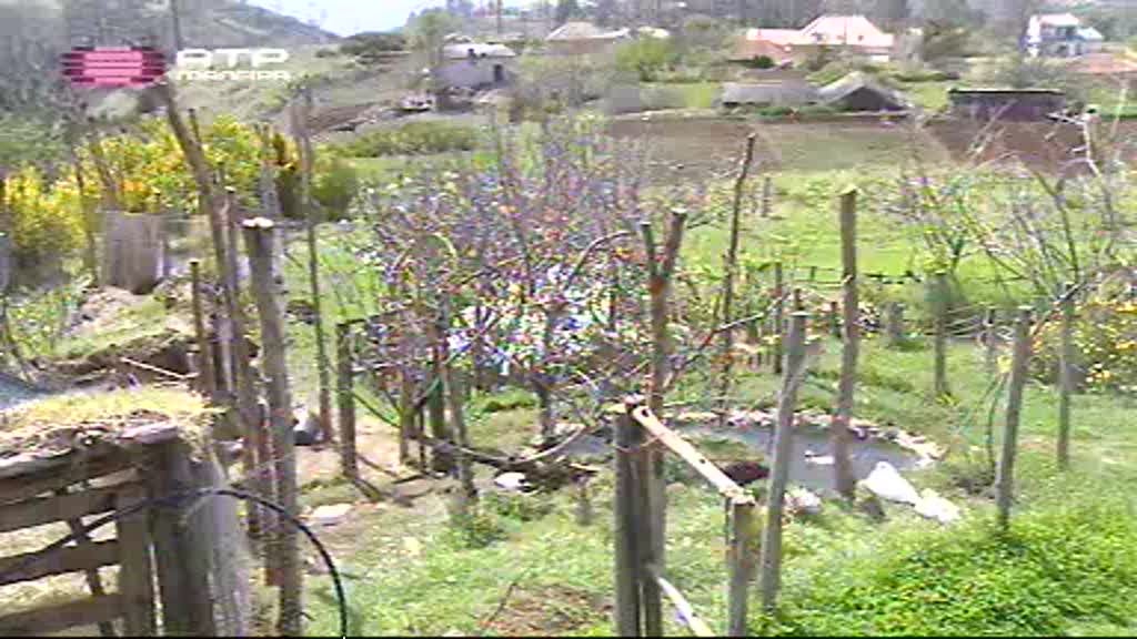 Imagem do Programa / Episiódio - Com os Pés na Terra