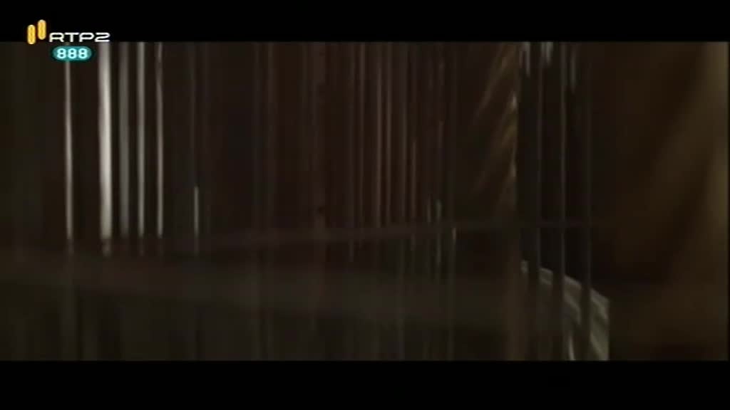 Imagem do Programa / Episiódio - Literatura Agora